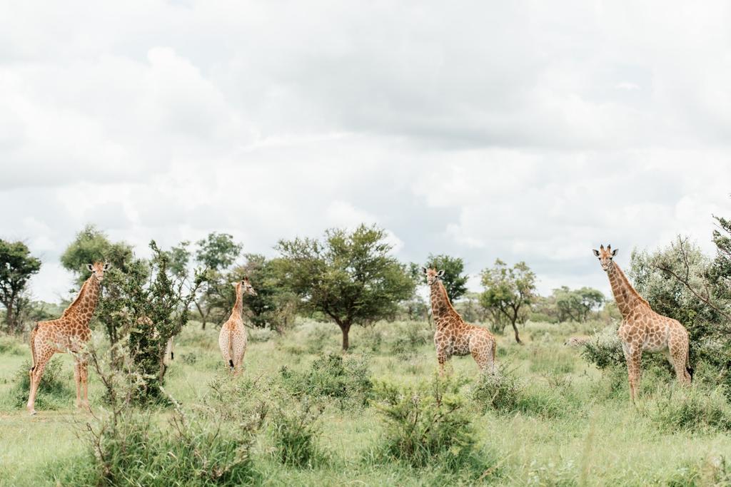Monate Game Lodge Modimolle Esterno foto