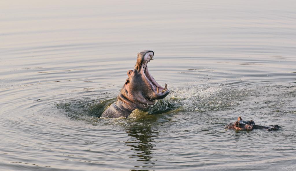 Monate Game Lodge Modimolle Esterno foto